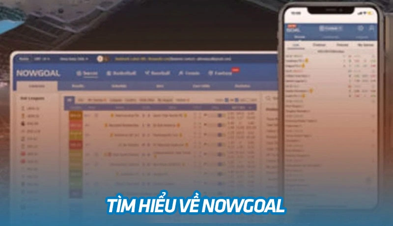 Một vài thông tin cơ bản về địa chỉ Nowgoal